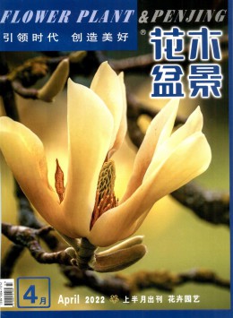 /images/qikan/2434_1720765364716689.jpg
